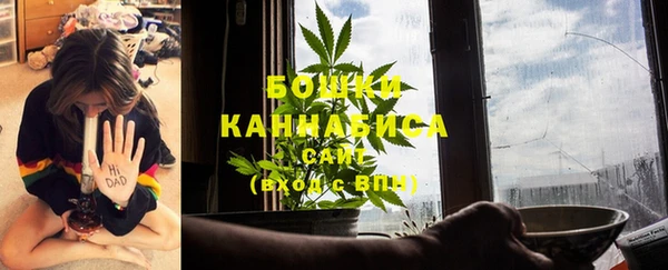 эйфоретик Магас